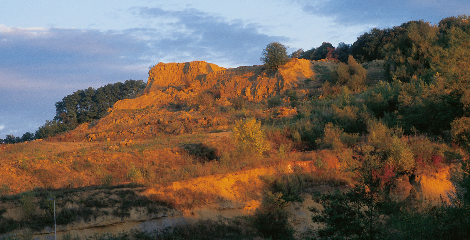 Gelände Kahlenberg Ringsheim